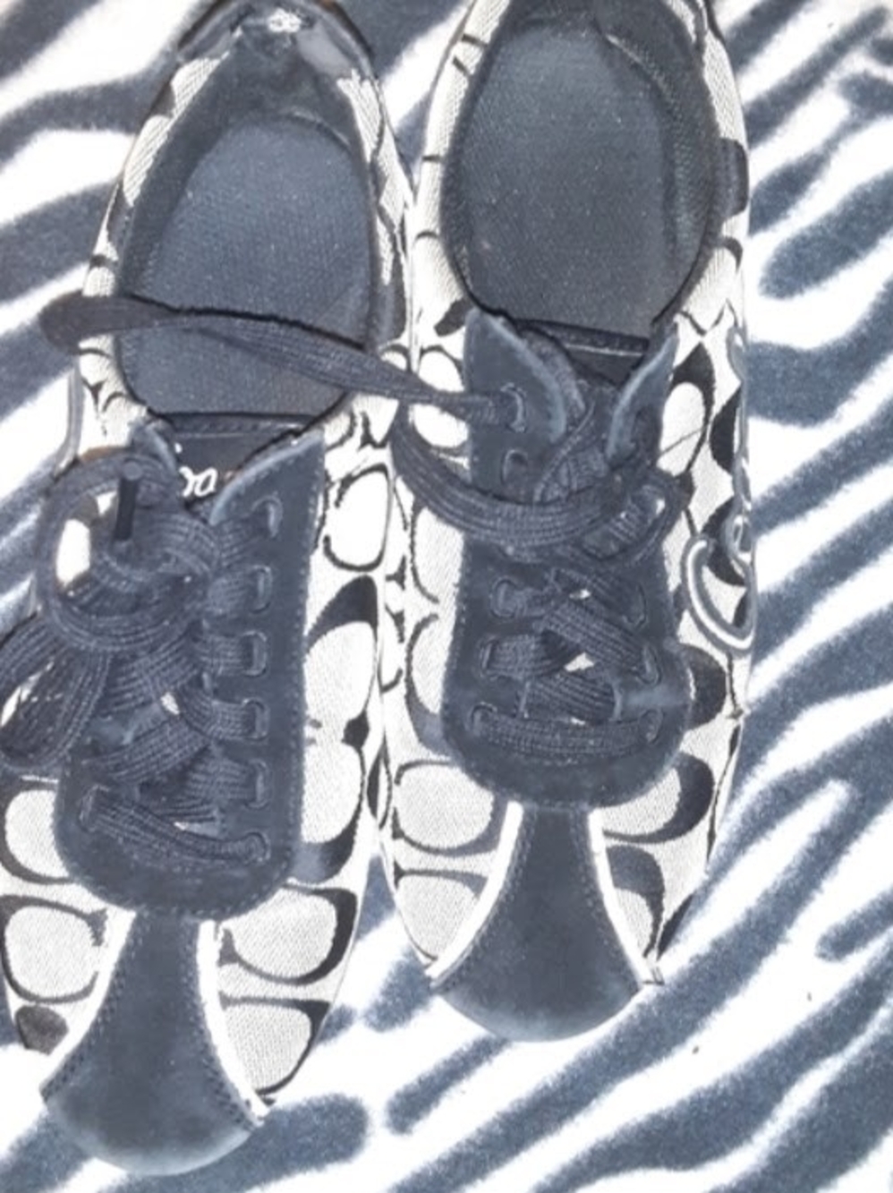 Coach Black and Cream Signature Lace-Up Sneakers